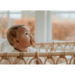 Bibs Boheme Latex Sutter 2-pak Woodchuck/Blush