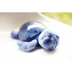 Cloud B Tranquil Turtle Natlampe Ocean m. Lyd