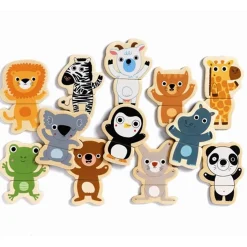 Djeco Wooden Magnetic Minidyr