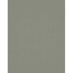 Name It Agave Green Tank Top 2-pack Agave Green Dino Noos