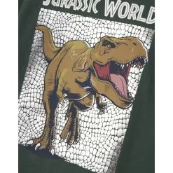 Name It Garden Topiary Nmmjewel Jurassic Nreg Ls Top Noos Sky