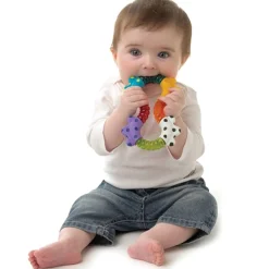 Playgro Click And Twist Rangle