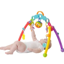 Playgro Fold & Go Playgym