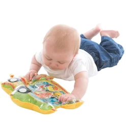 Playgro Frøen Vandaktivitet Måtte