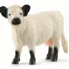 schleich® Farm World Galloway Ko